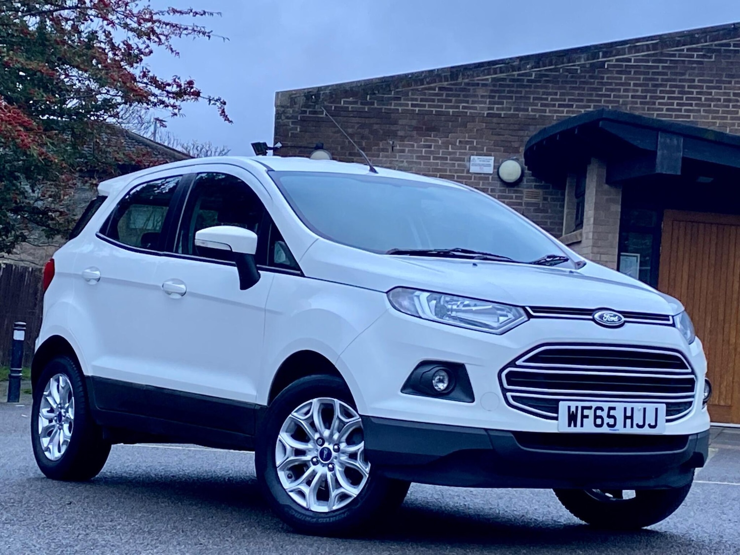Used Ford Ecosport 2015 for sale - 77331330: Photo 23
