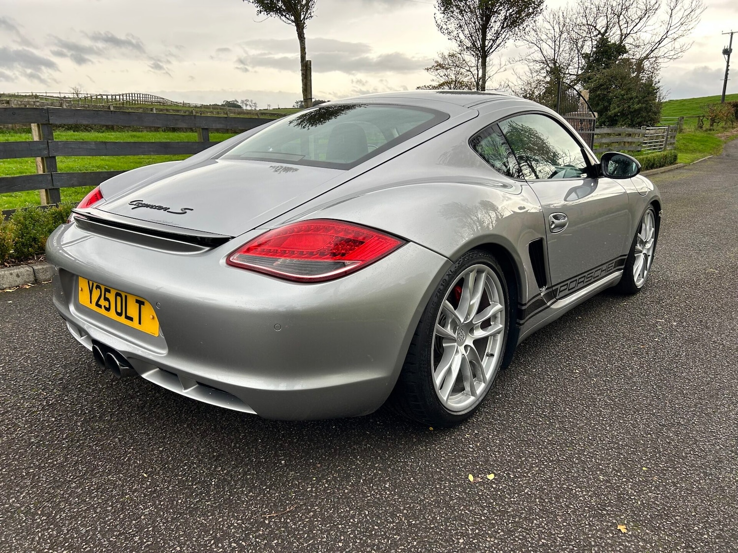 Used Porsche Cayman 2009 for sale - 76317267: Photo 13