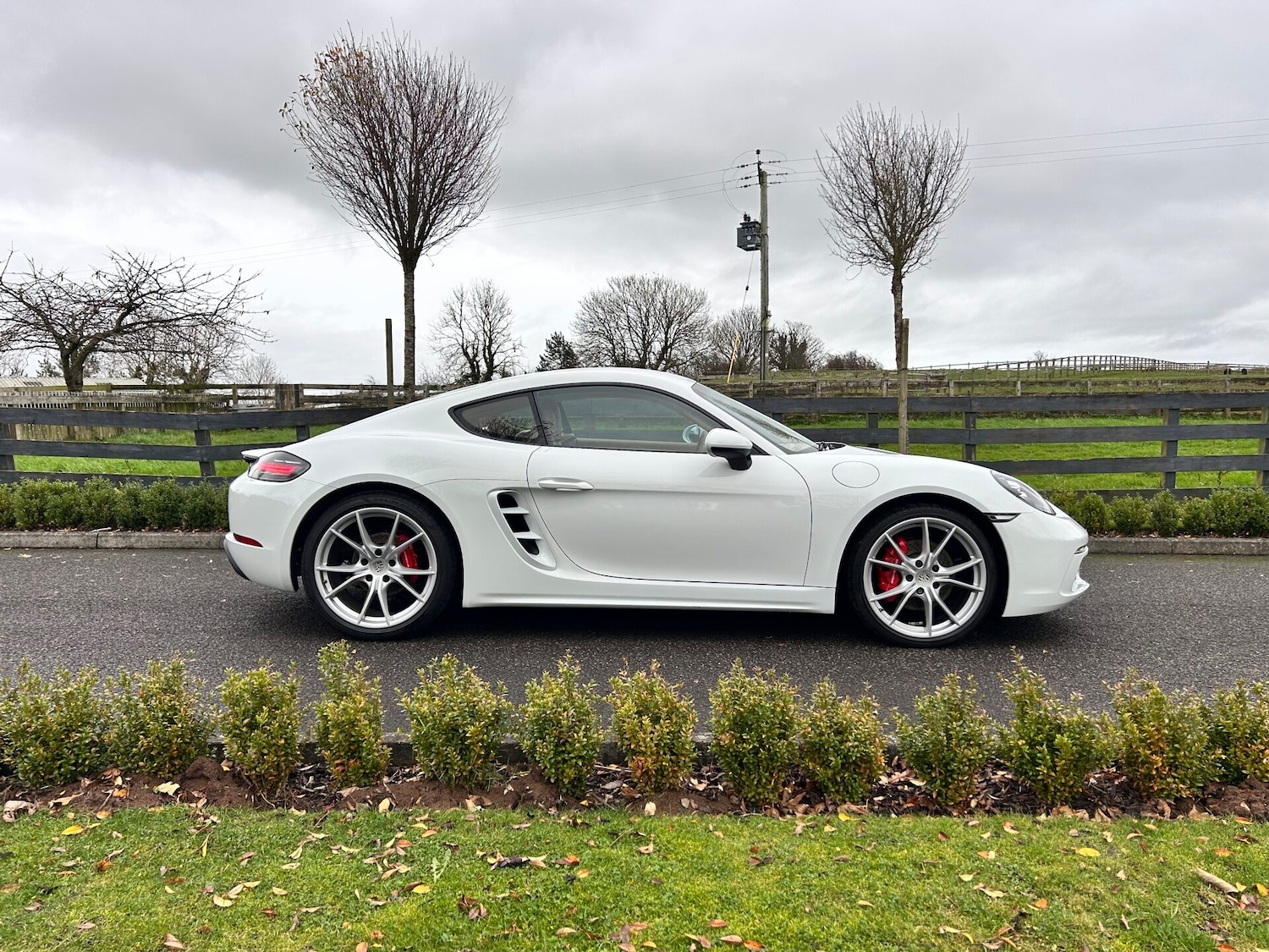 Used Porsche Cayman 2017 for sale - 76576674: Photo 1