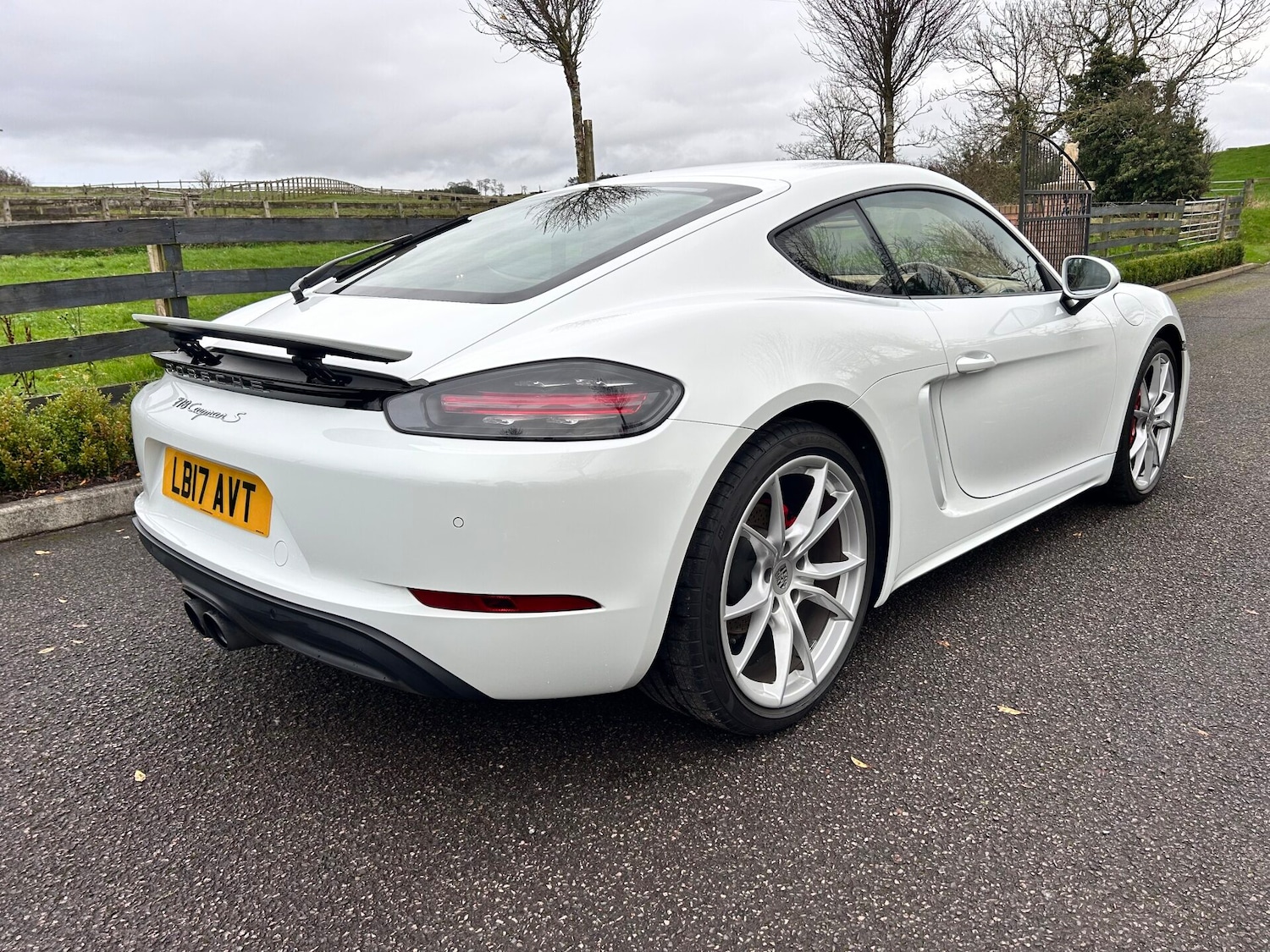 Used Porsche Cayman 2017 for sale - 76576674: Photo 13