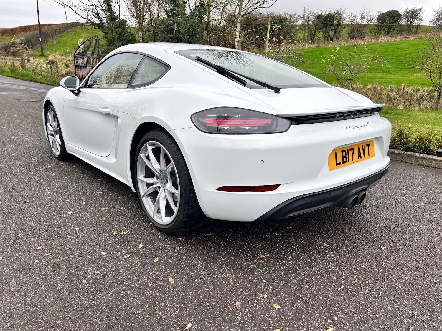 Used Porsche Cayman 2017 for sale - 76576674: Photo 9