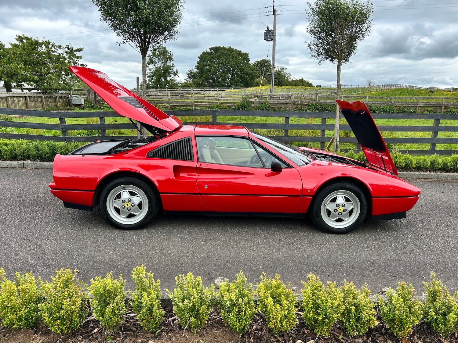 Used Ferrari 328 1989 for sale - 77034480: Photo 24