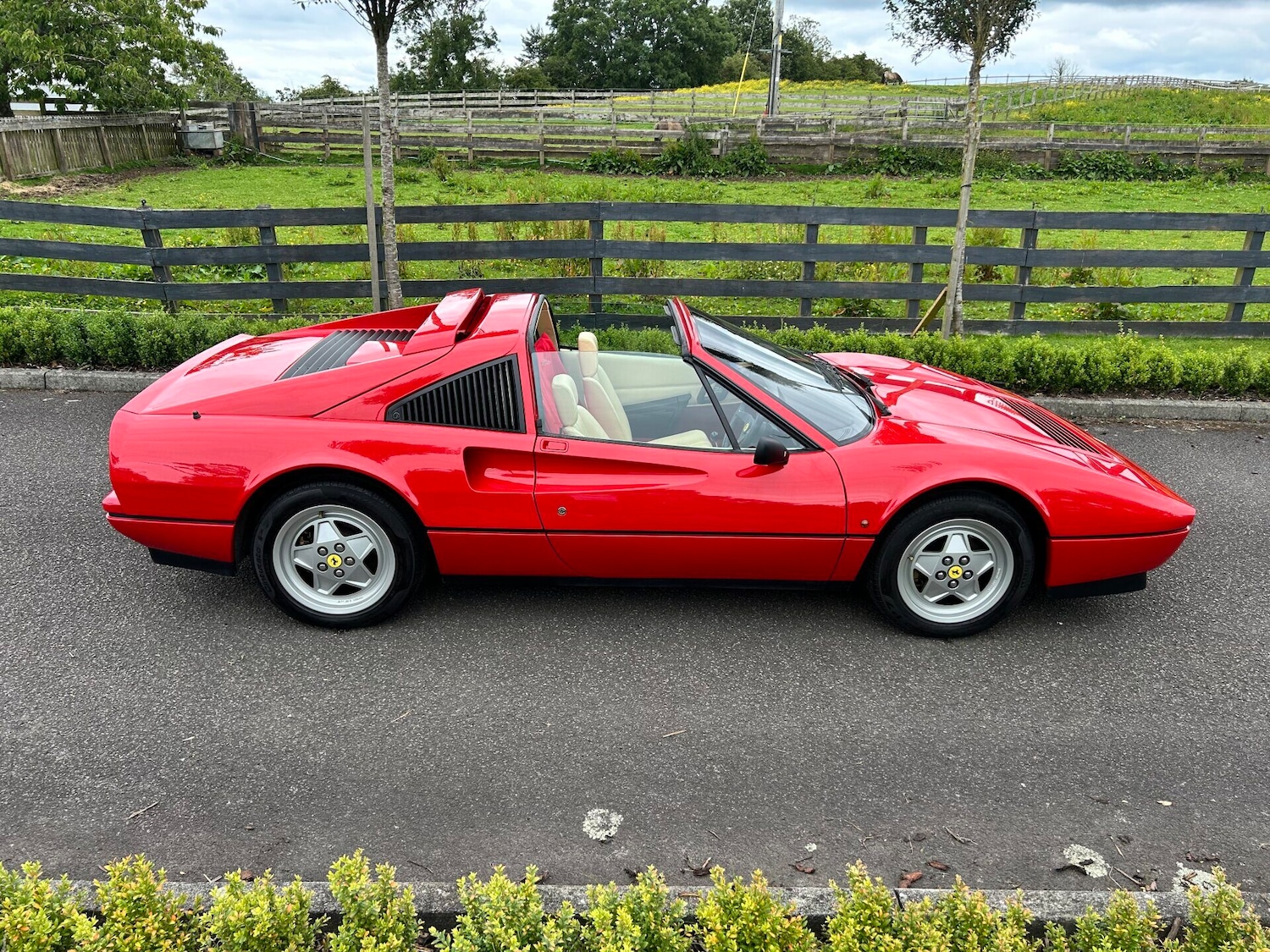 Used Ferrari 328 1989 for sale - 77034480: Photo 3