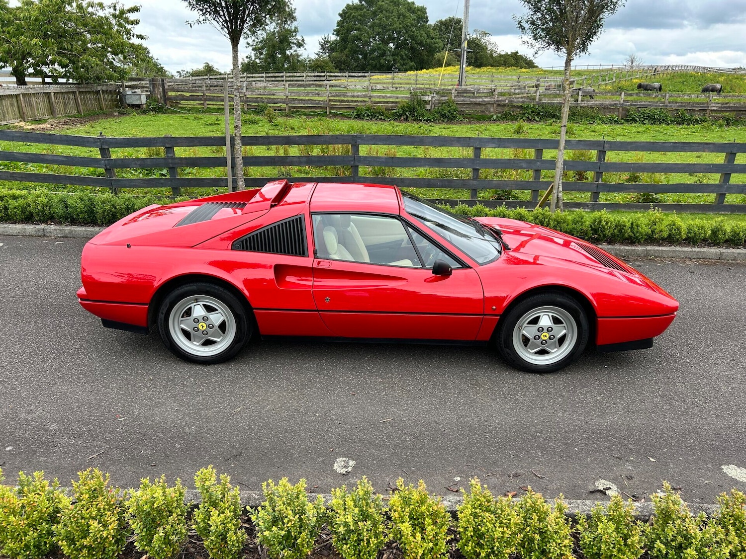 Used Ferrari 328 1989 for sale - 77034480: Photo 4