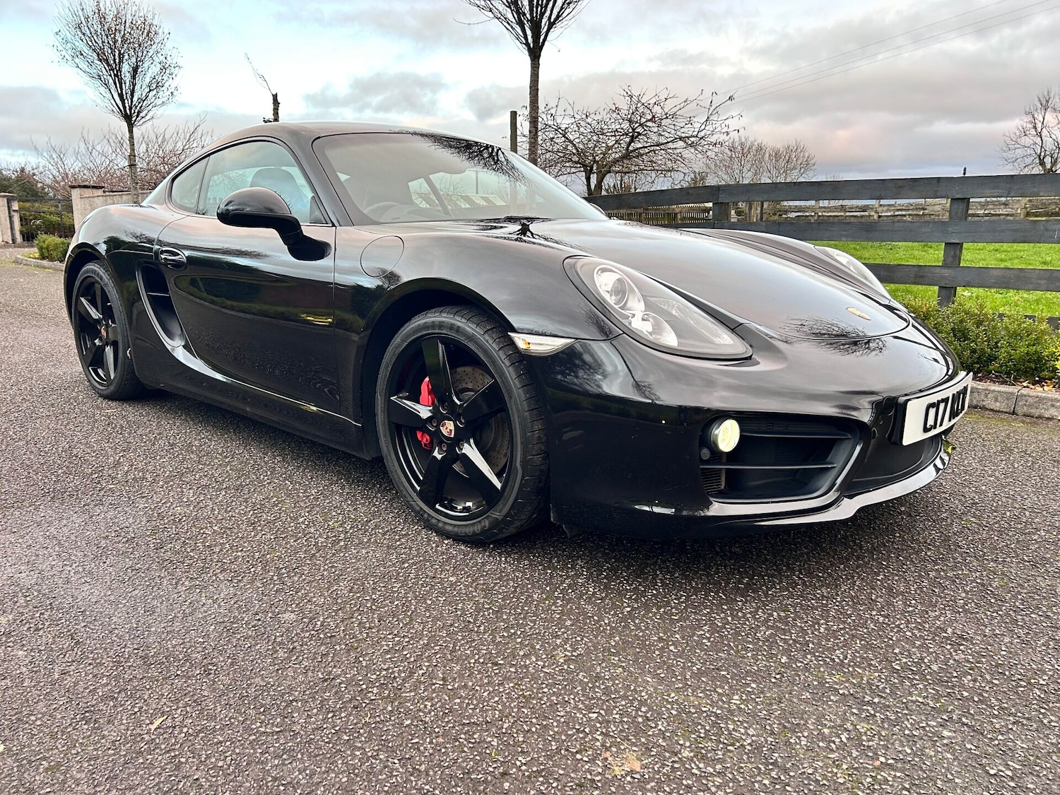 Used Porsche Cayman 2013 for sale - 76541379: Photo 3