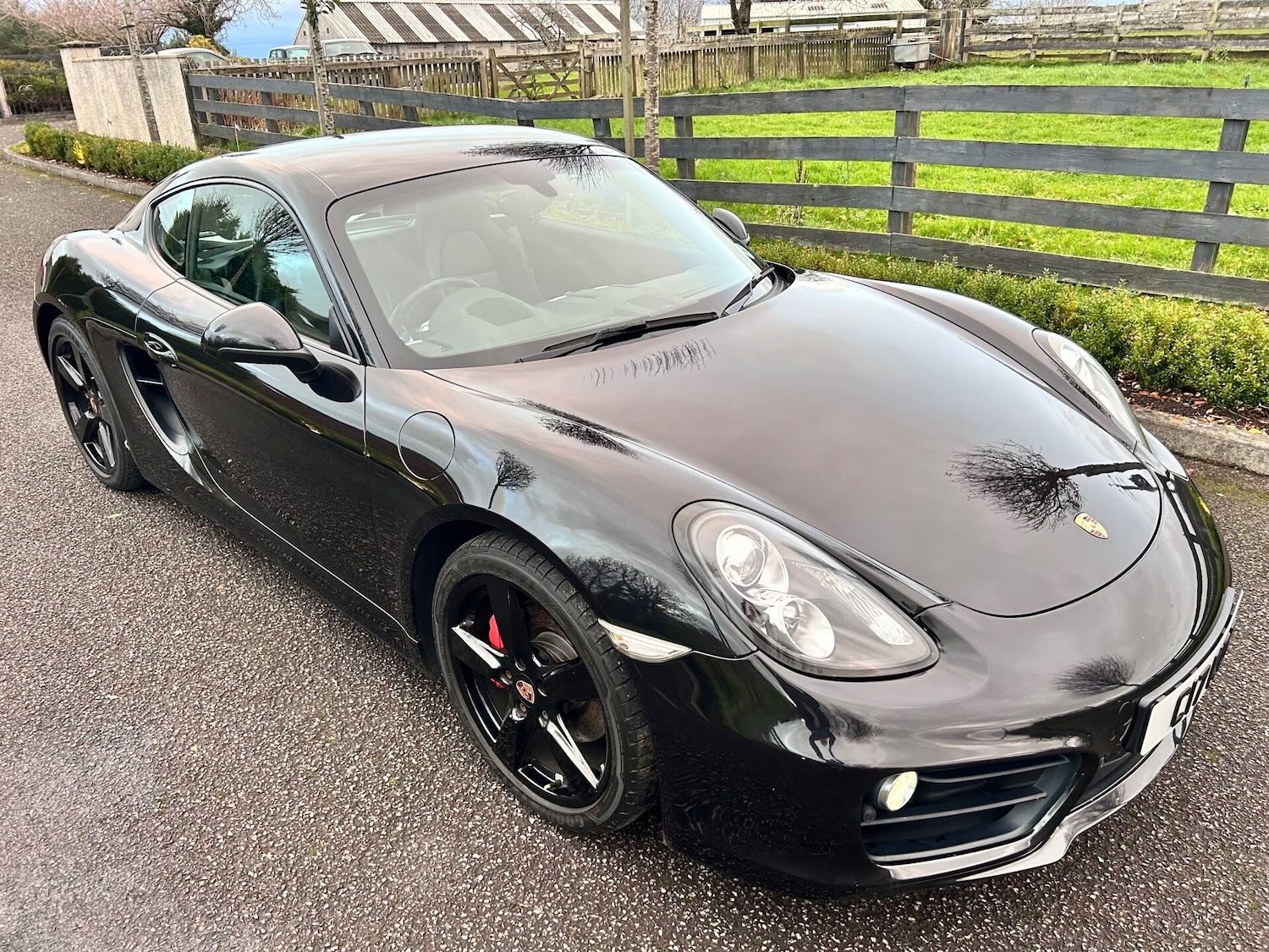 Used Porsche Cayman 2013 for sale - 76541379: Photo 4