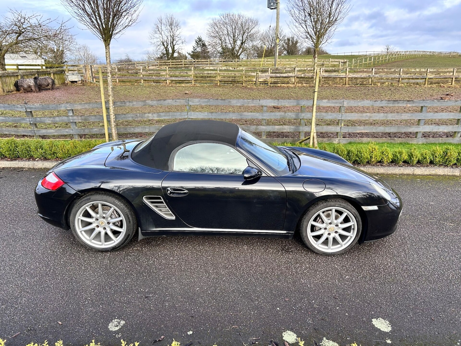 Used Porsche Boxster 2008 for sale - 77689407: Photo 4
