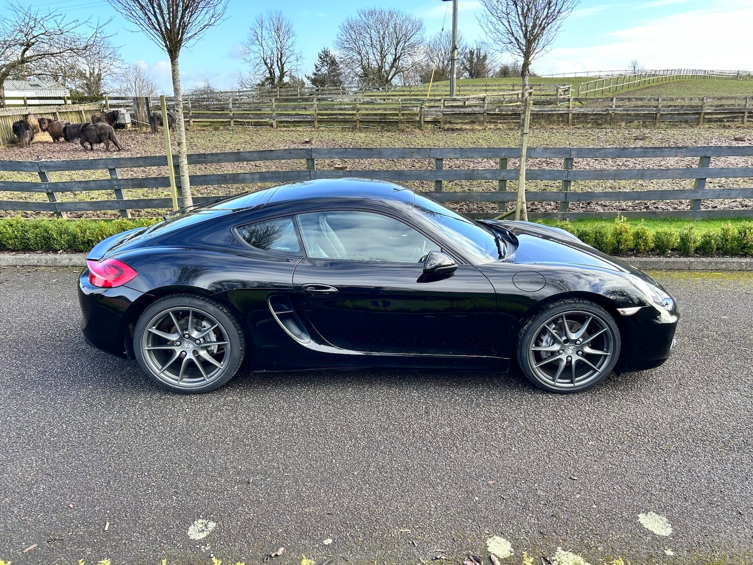 Used Porsche Cayman 2013 for sale - 77703326: Photo 2
