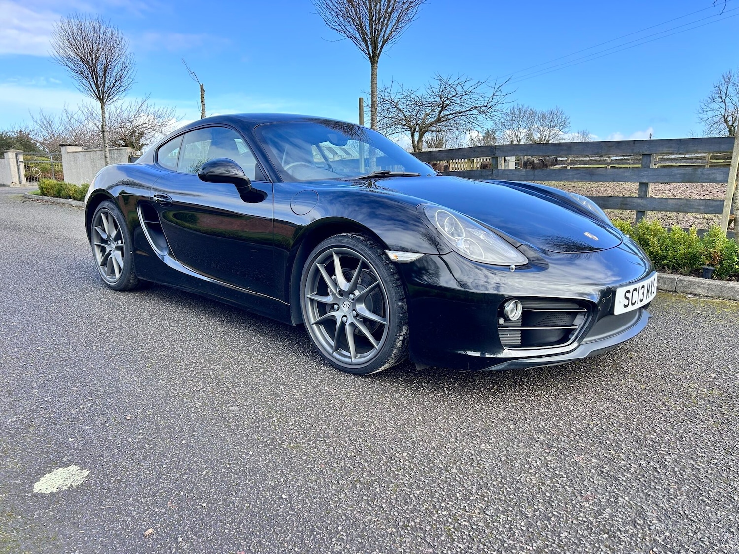 Used Porsche Cayman 2013 for sale - 77703326: Photo 3