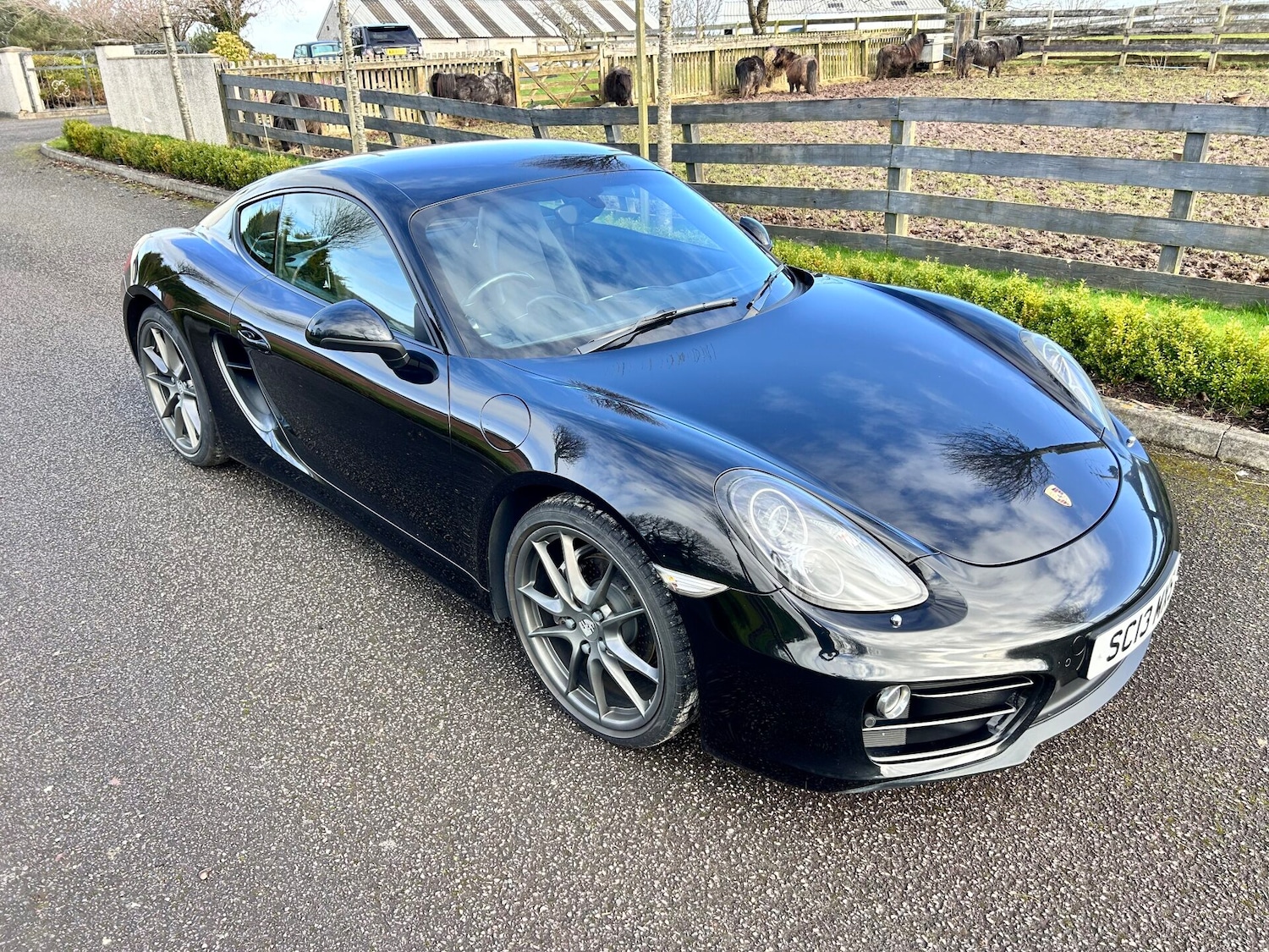 Used Porsche Cayman 2013 for sale - 77703326: Photo 4