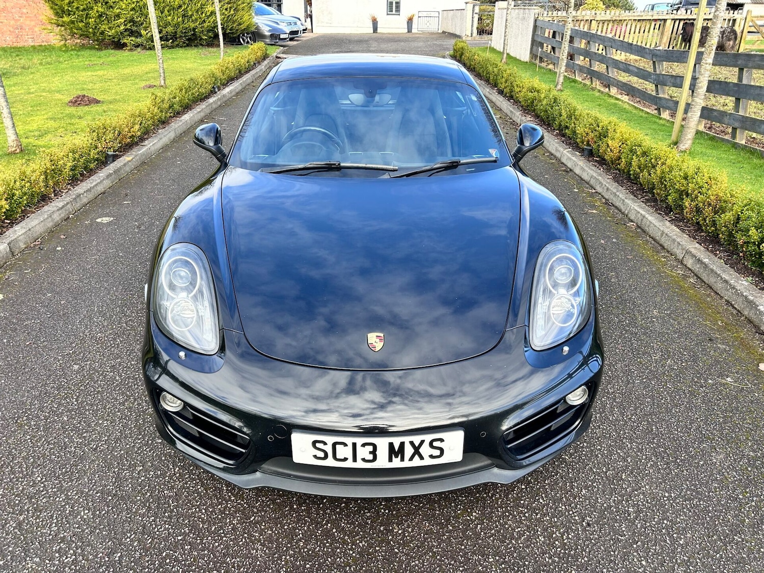 Used Porsche Cayman 2013 for sale - 77703326: Photo 6