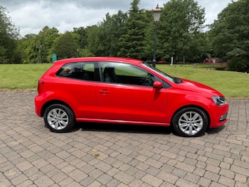Used Volkswagen Polo 2016 for sale - 75646853: Photo