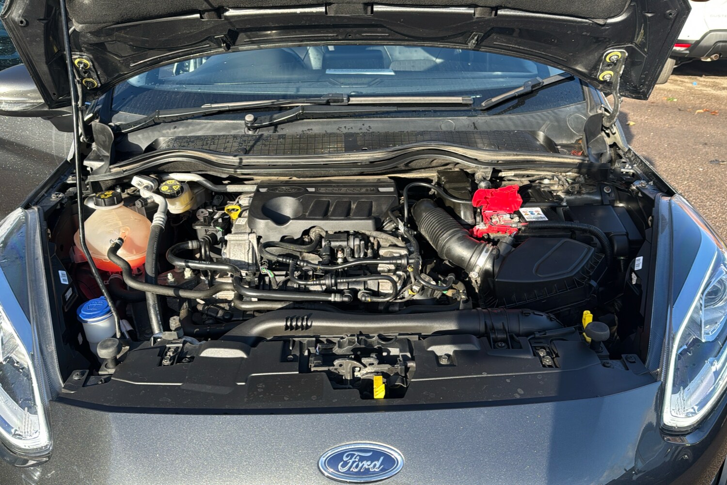 Used Ford Fiesta 2020 for sale - 76402968: Photo 24