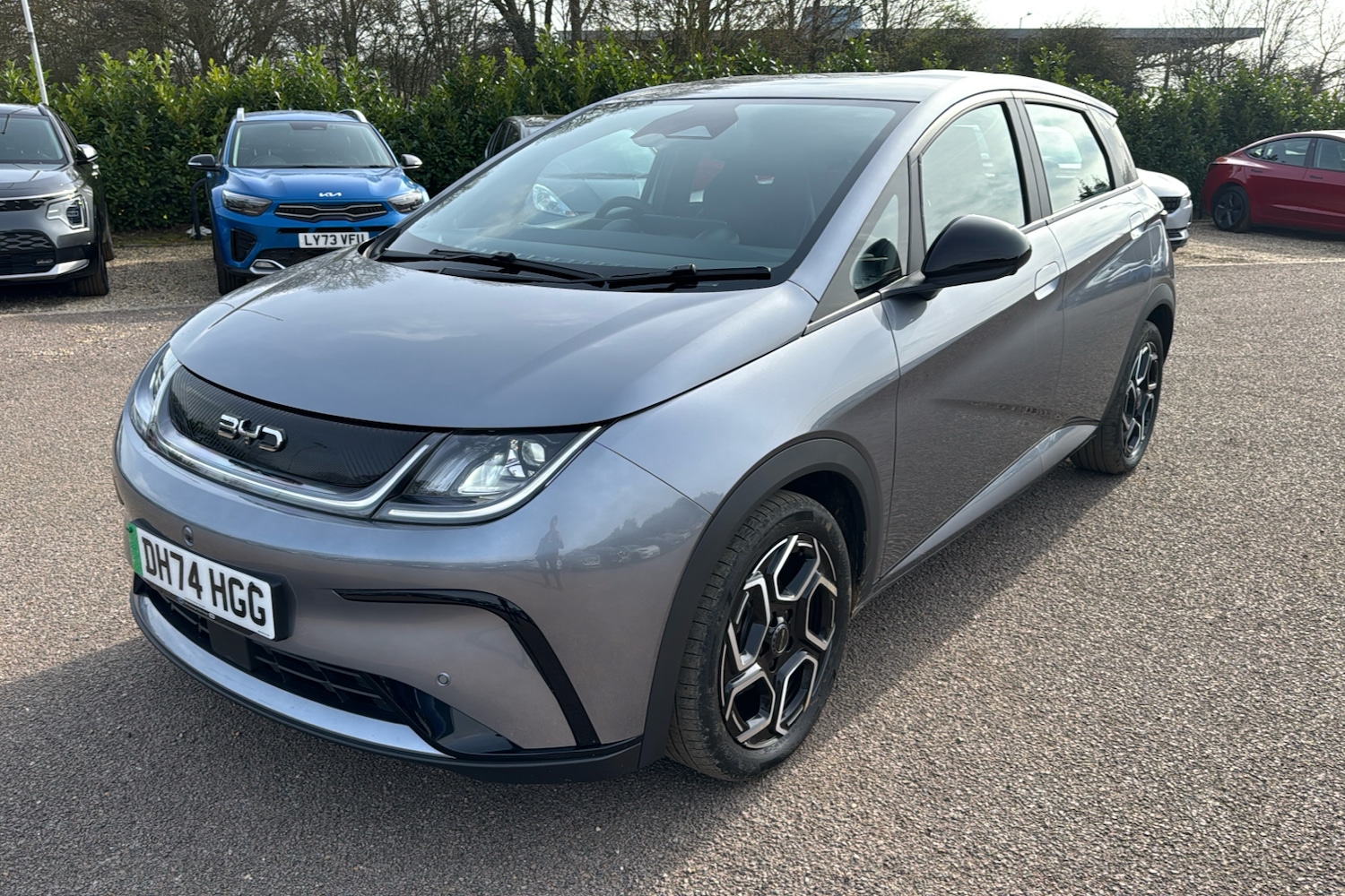 Used BYD Dolphin 2025 for sale - 78012635: Photo 34