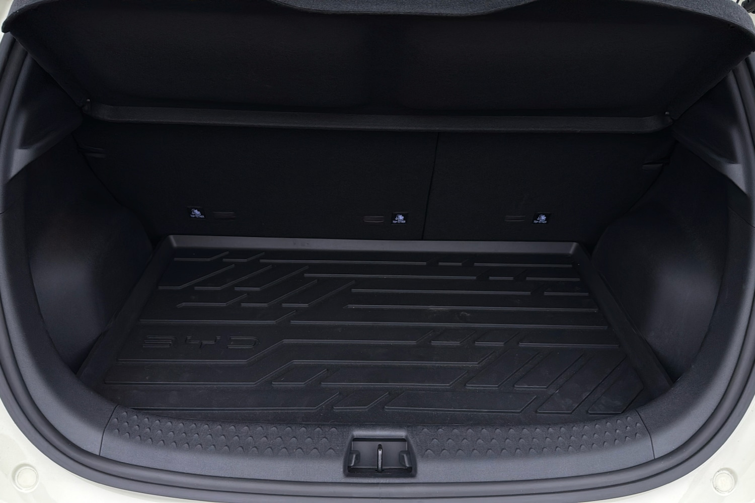 Used BYD Dolphin 2025 for sale - 76298201: Photo 19