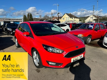 Used Ford Focus 2015 for sale - 77702919: Photo