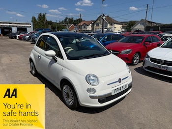 Used Fiat 500 2014 for sale - 79264027: Photo