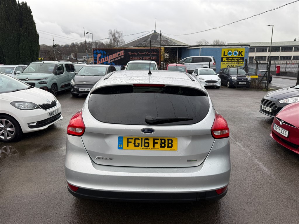 Used Ford Focus 2016 for sale - 77492951: Photo 5