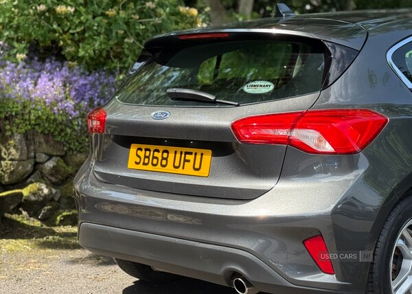 Used Ford Focus 2019 for sale - 75081266: Photo 12