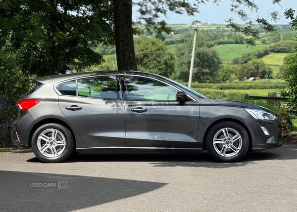 Used Ford Focus 2019 for sale - 75081266: Photo 5