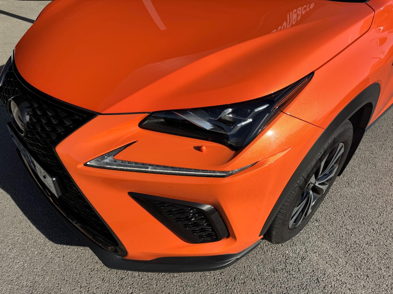 Used Lexus NX 2019 for sale - 76283606: Photo 11