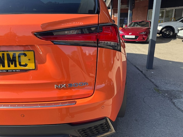 Used Lexus NX 2019 for sale - 76283606: Photo 14