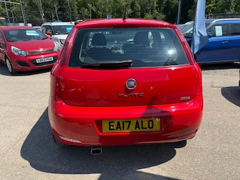 Used Fiat Punto 2017 for sale - 79032180: Photo