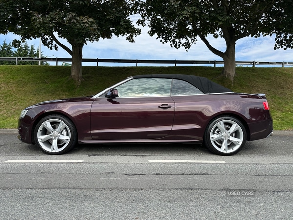 Used Audi A5 2012 for sale - 77926604: Photo 6