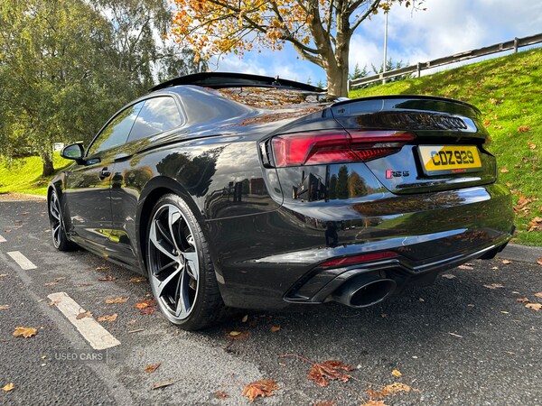 Used Audi RS5 2019 for sale - 76825274: Photo 3