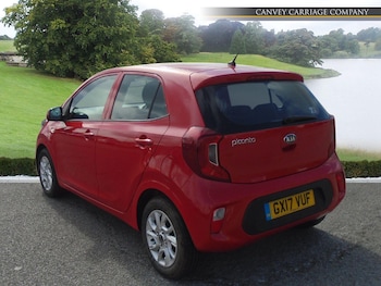 Used Kia Picanto 2017 for sale - 79317301: Photo