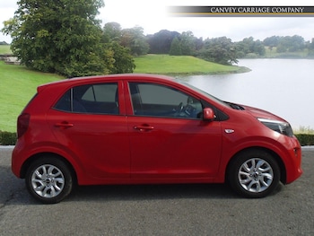 Used Kia Picanto 2017 for sale - 79317301: Photo