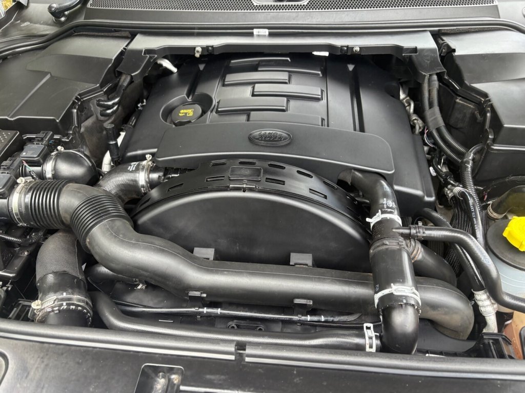 Vehicle 31