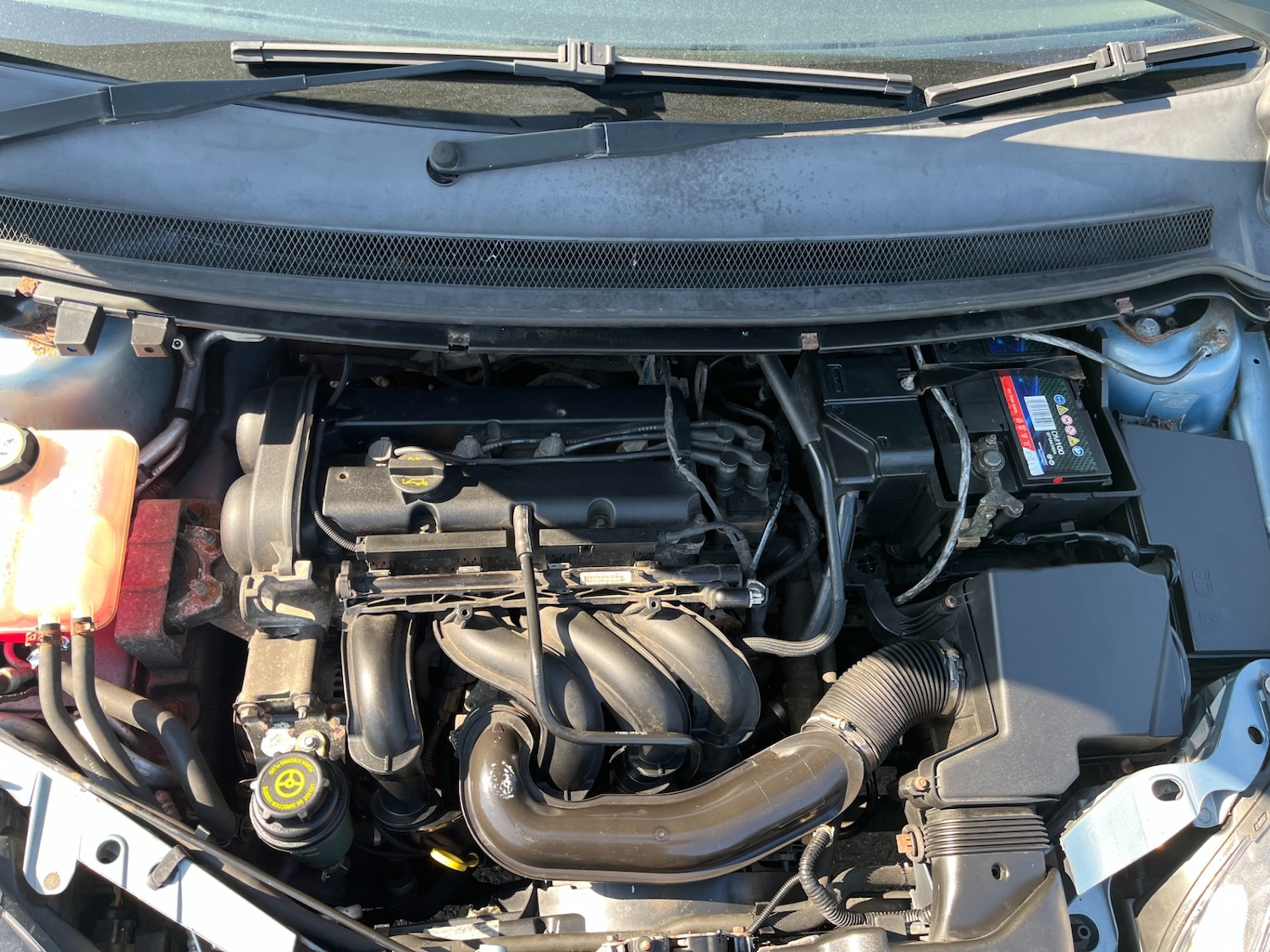 Used Ford Focus 2009 for sale - 77946469: Photo 8