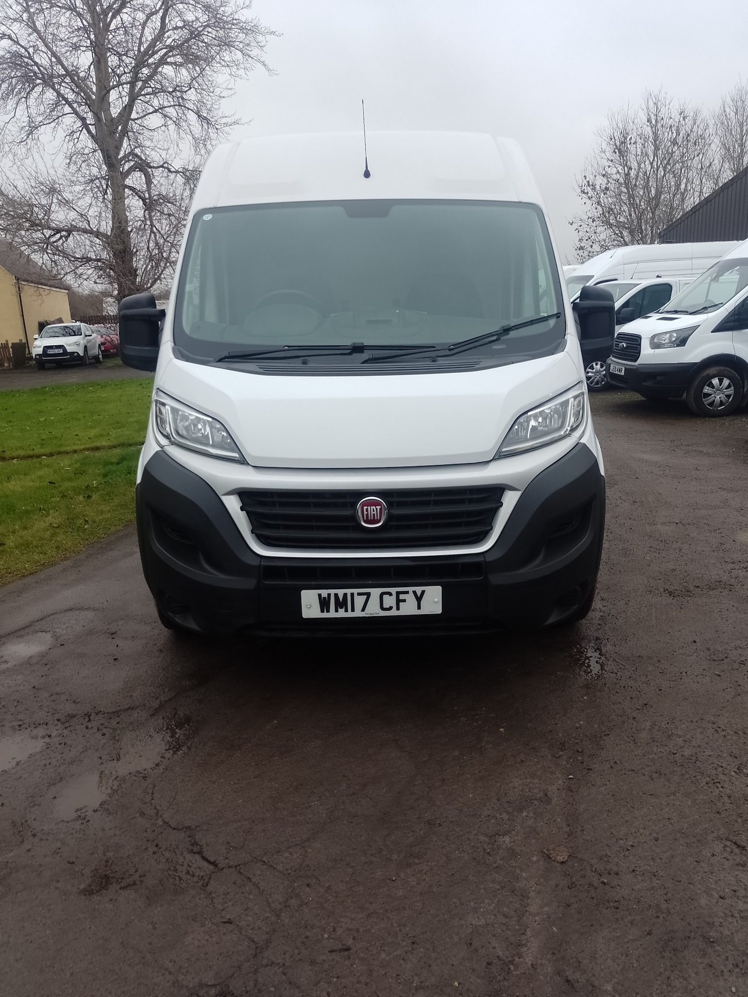 Used Fiat Ducato 2017 for sale - 77365411: Photo 3