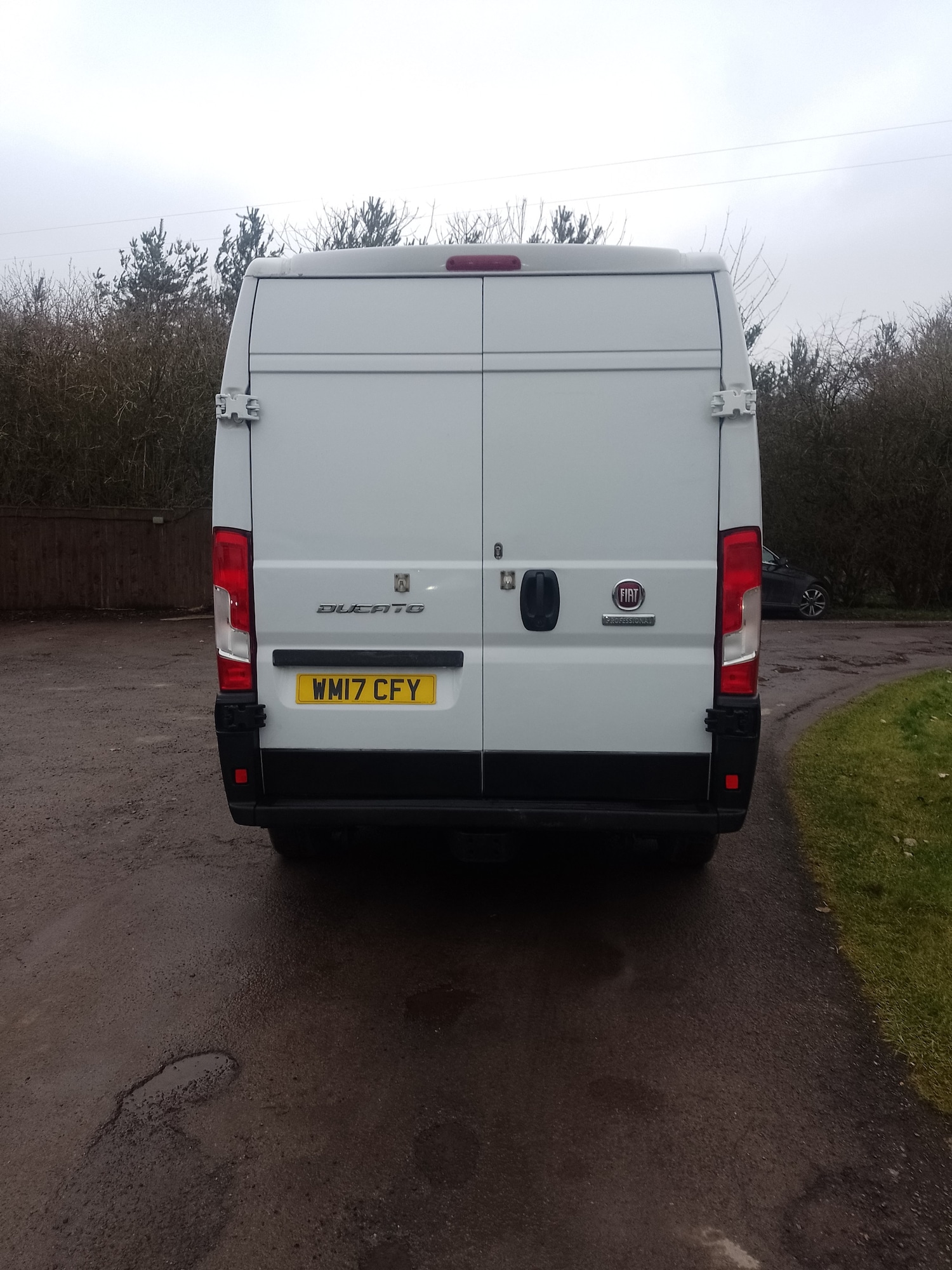 Used Fiat Ducato 2017 for sale - 77365411: Photo 6
