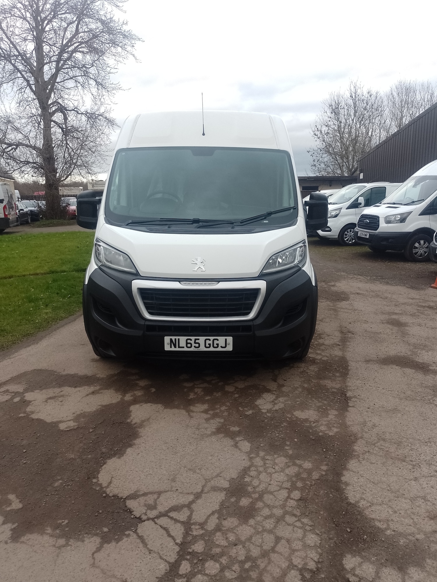 Used Peugeot Boxer 2015 for sale - 77675749: Photo 3