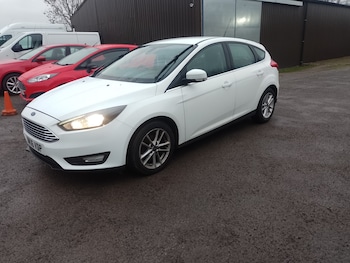 Used Ford Focus 2016 for sale - 77061458: Photo