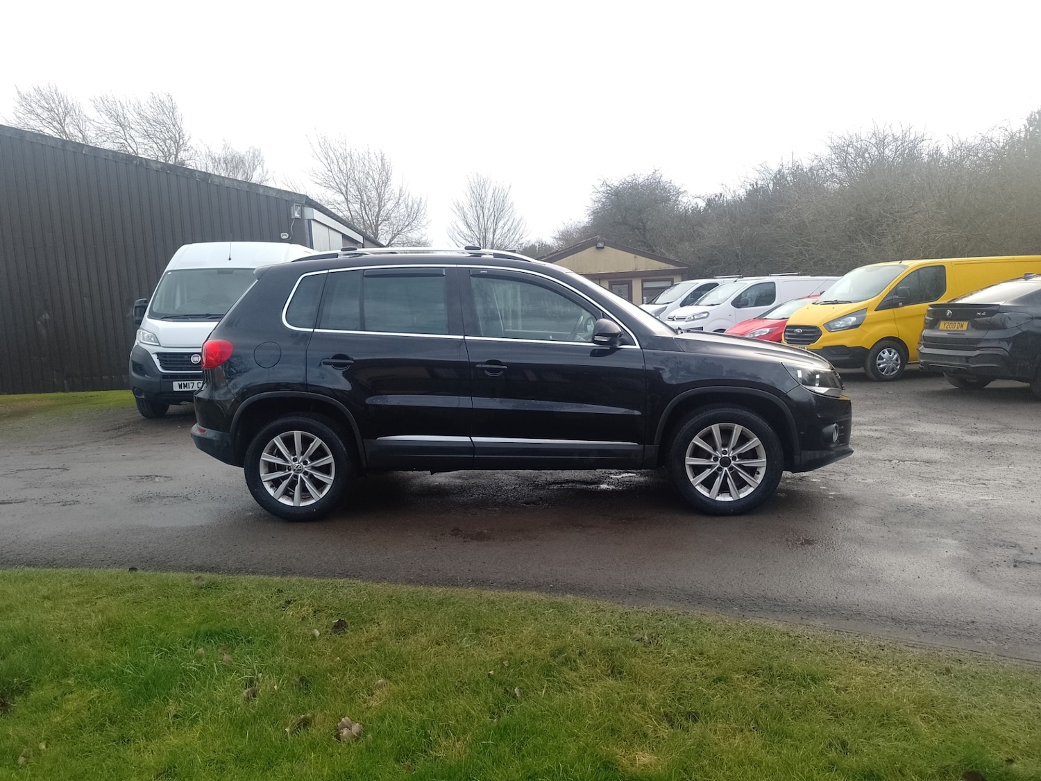 Used Volkswagen Tiguan 2013 for sale - 77227857: Photo 3