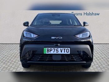 Used BYD Dolphin 2025 for sale - 77861458: Photo