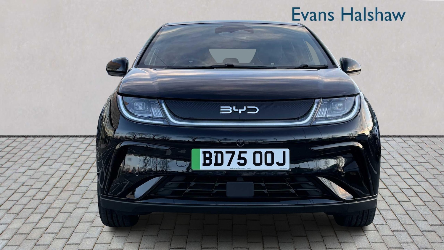 Used BYD Dolphin 2025 for sale - 77862020: Photo 4