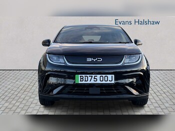 Used BYD Dolphin 2025 for sale - 77862020: Photo