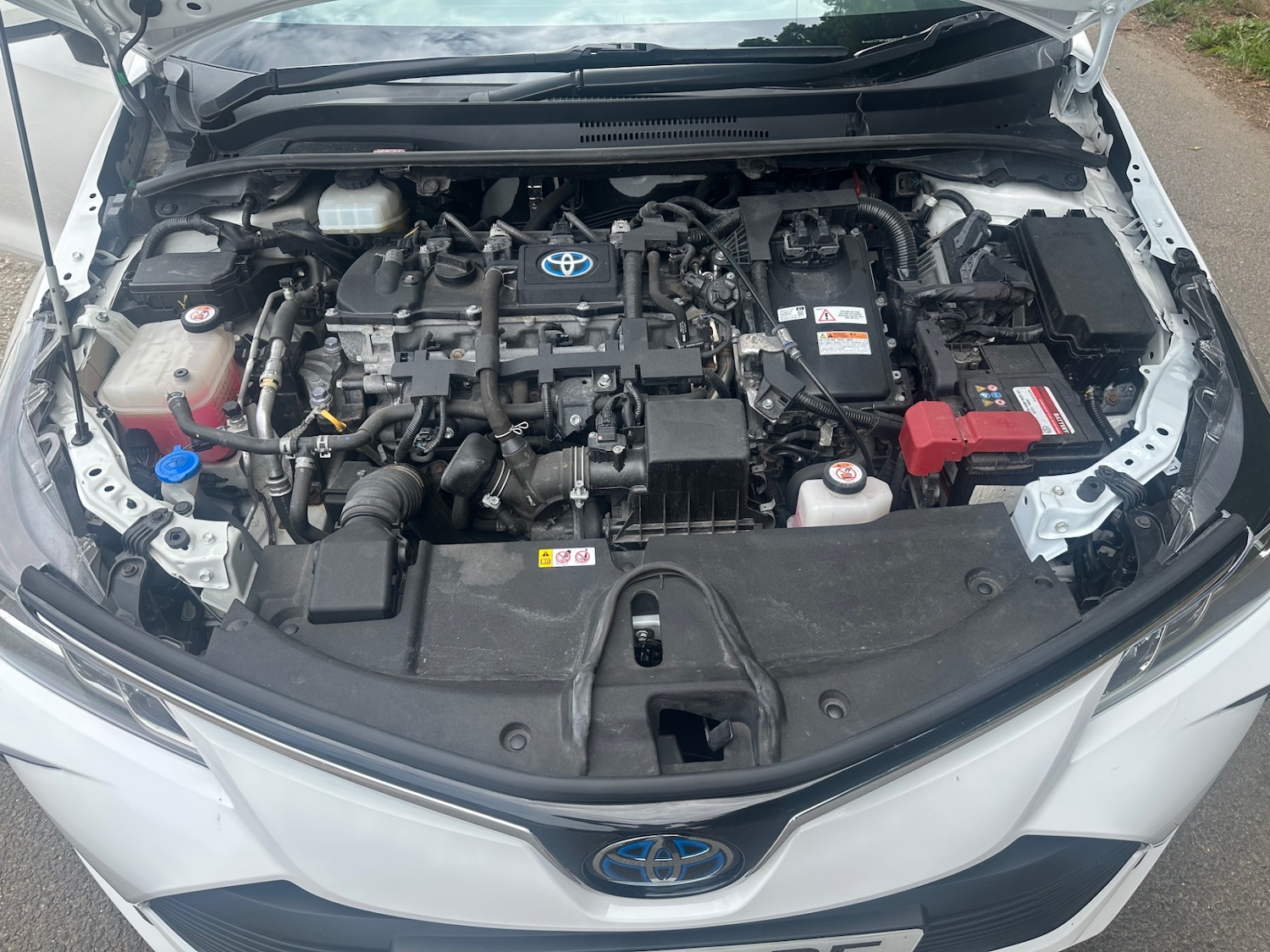 Used Toyota Corolla 2019 for sale - 76358605: Photo 10