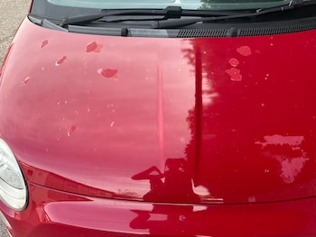 Used Fiat 500 2010 for sale - 78386472: Photo