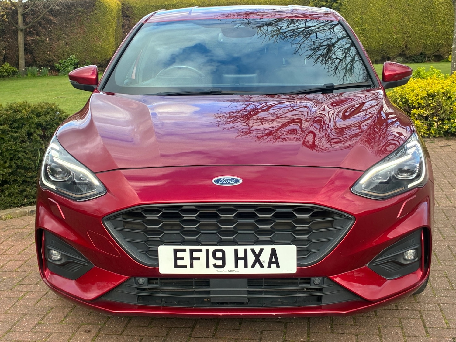 Used Ford Focus 2019 for sale - 78112652: Photo 19