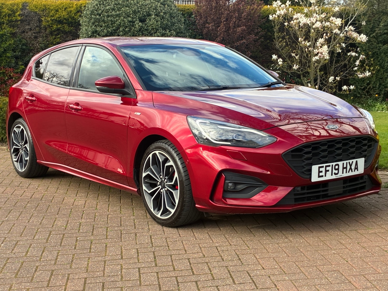 Used Ford Focus 2019 for sale - 78112652: Photo 2