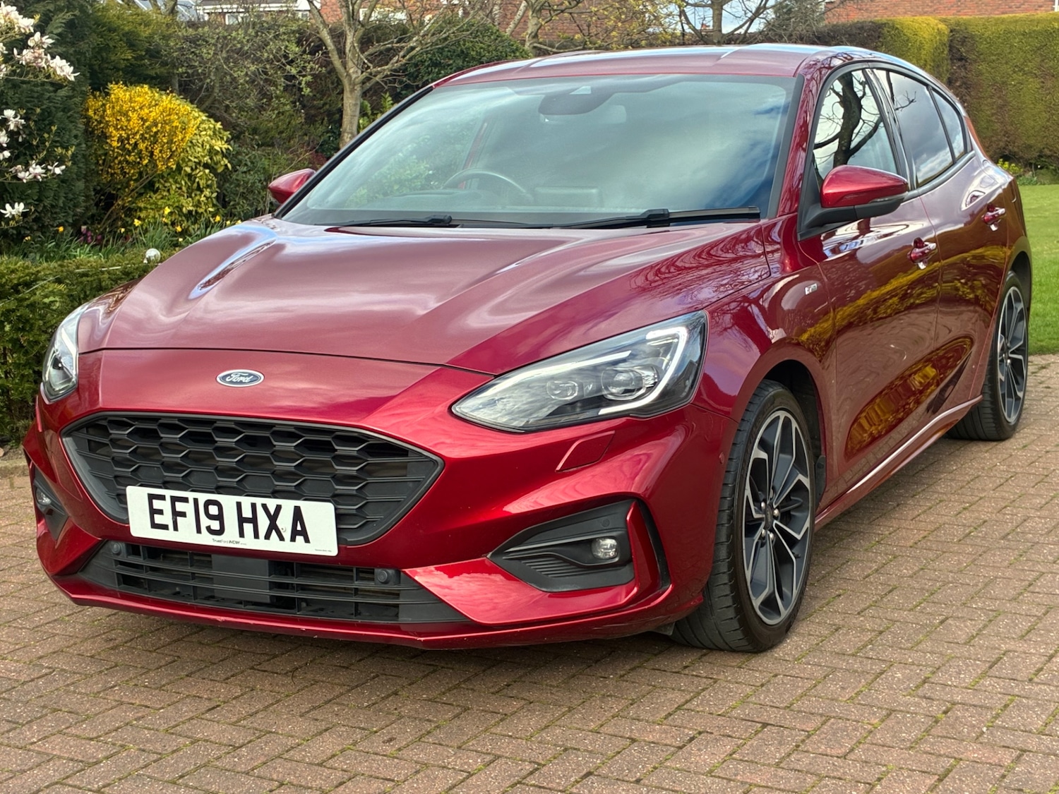 Used Ford Focus 2019 for sale - 78112652: Photo 20