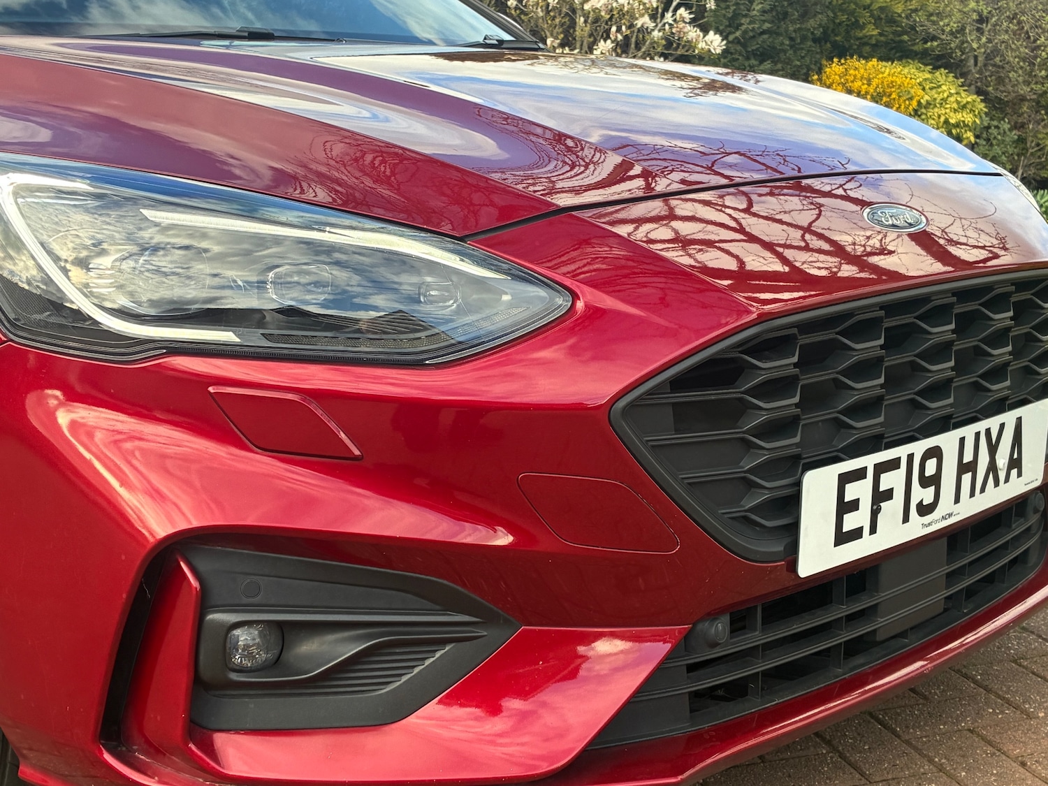 Used Ford Focus 2019 for sale - 78112652: Photo 5