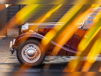 Used MG TD 1950 for sale - 78112656: Photo