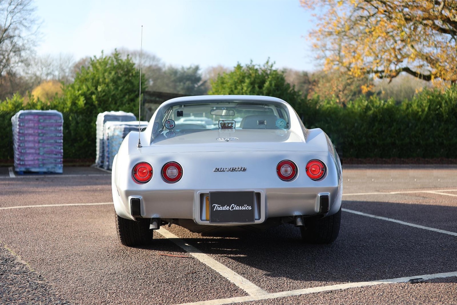 Used Chevrolet Corvette 2016 for sale - 77247439: Photo 10