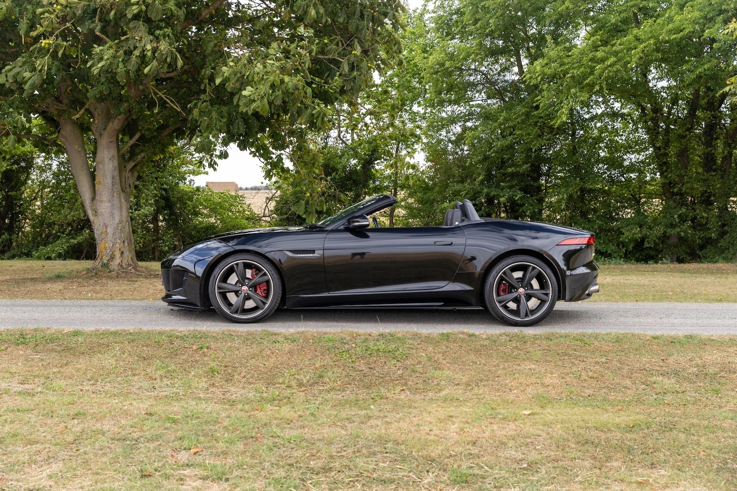 Used Jaguar F-Type 2015 for sale - 76908195: Photo 6